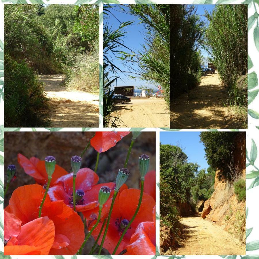 Hébergement de vacances Maria Luisa Albufeira